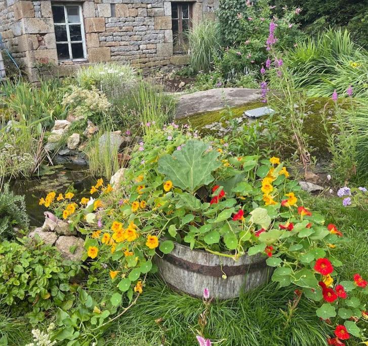 Le Petit Fleur - The Little Flower, Cosy Cottage Saint-Michel-de-Montjoie Ngoại thất bức ảnh