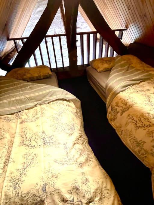 Le Petit Fleur - The Little Flower, Cosy Cottage Saint-Michel-de-Montjoie Ngoại thất bức ảnh